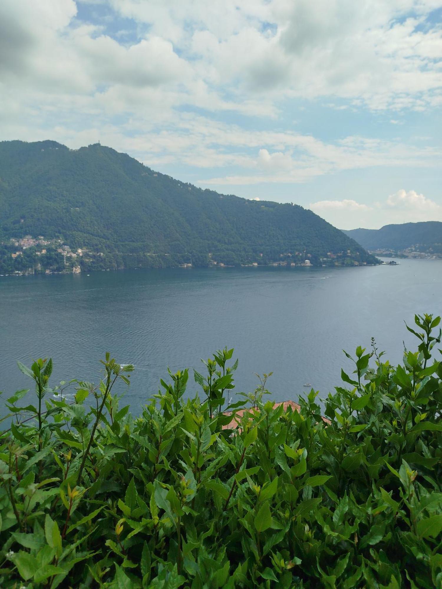 Little Garden House Villa Cernobbio Eksteriør bilde